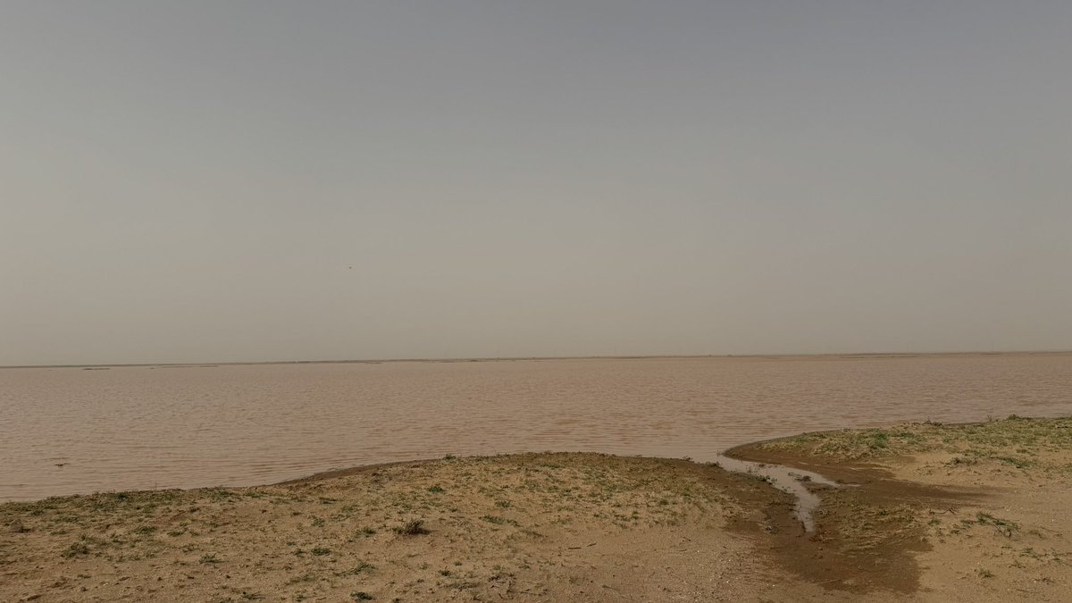 محمد الفرحان tweet media