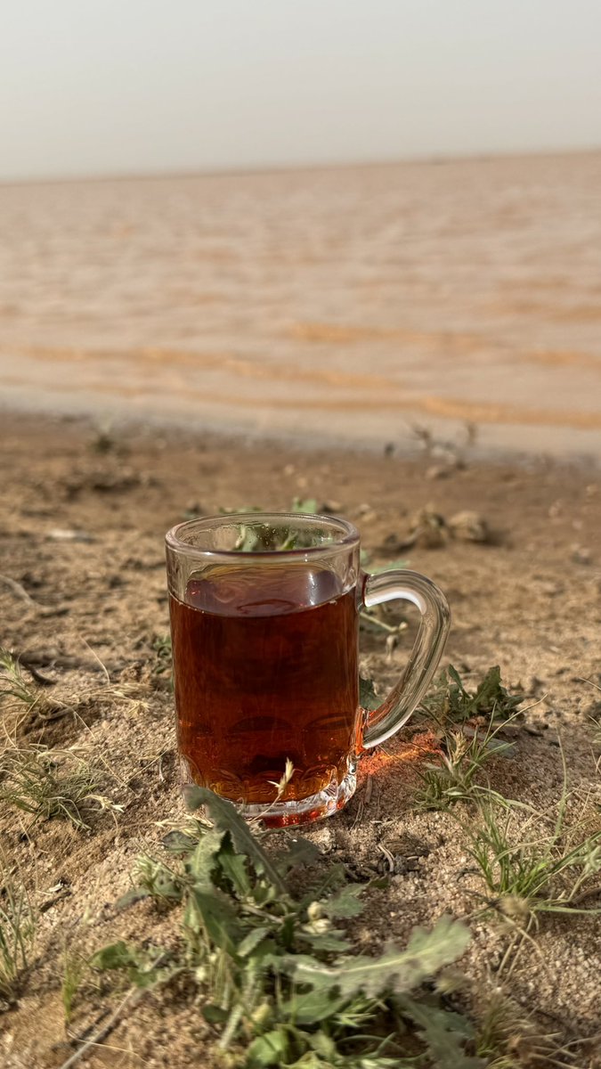 محمد الفرحان tweet media