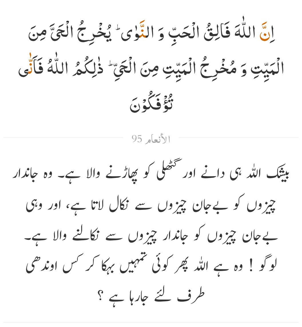 𝑫𝒆𝒎𝒐𝒄𝒓𝒂𝒕☂️(عَـیْنَمّْ) tweet media