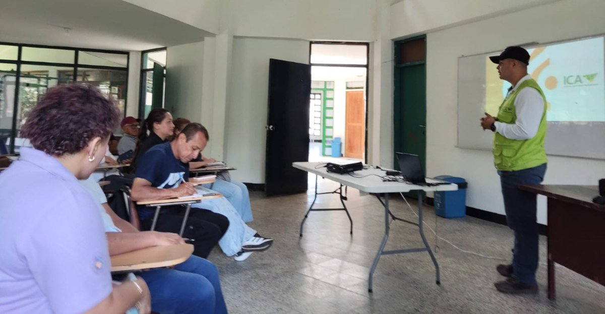 ICACOLOMBIA's tweet photo. ¿Sabías que más del 70 % de los cultivos de interés agrícola dependen, en alguna medida, de la polinización biológica? 🐝🐝

📍 En Marsella, Risaralda, realizamos una jornada de trabajo orientada a la identificación de factores que afectan la salud y supervivencia de los polinizadores, especialmente las abejas. 🐝

Socializamos las buenas prácticas, 🧑🏽‍🌾 tales como la correcta aplicación de insumos agrícolas, el respeto por los horarios de forrajeo de las abejas, la implementación de barreras vivas y la promoción de entornos favorables para su conservación. 👇🏽✅

Aquí te contamos más: 🔗 https://t.co/w7fvagzE1G

¡Estamos en el corazón del campo! 💚🇨🇴🇨🇴