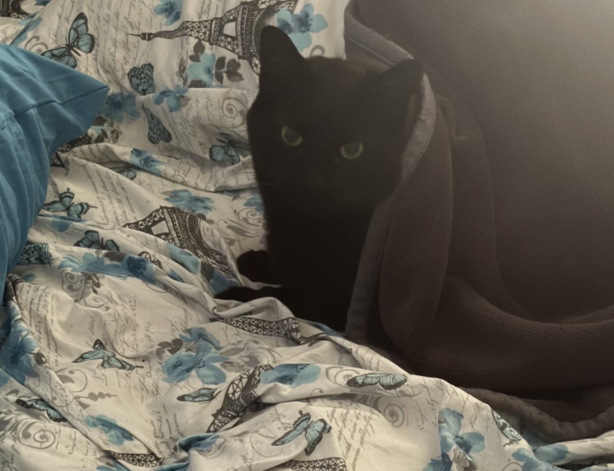 Dusty Oracle tweet media