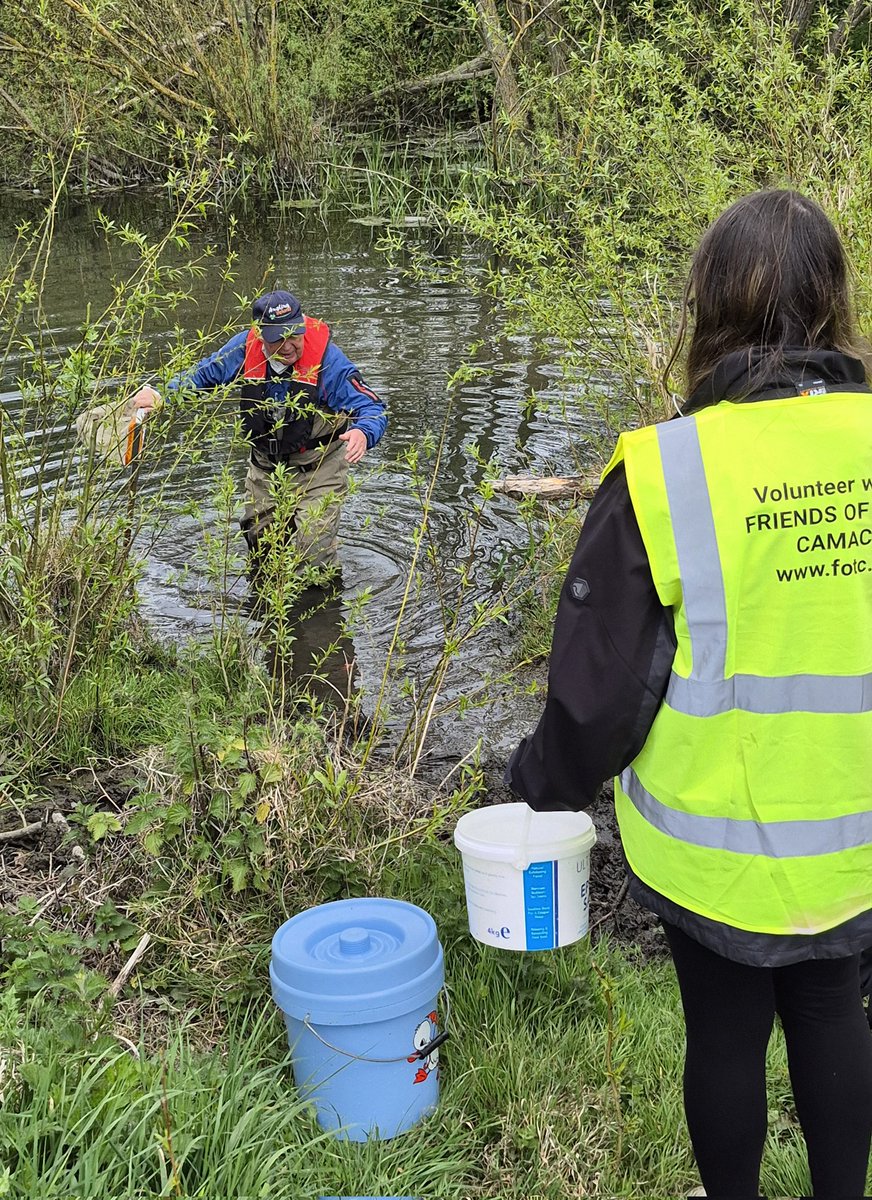 TYColaisteBride's tweet photo. TY students out in the community getting involved in 'The Fresh Water Detective' in Corkagh Park. Fantastic learning and hands on fun was had by all!#friendsofcarmac https://t.co/kH7mnS9dyb