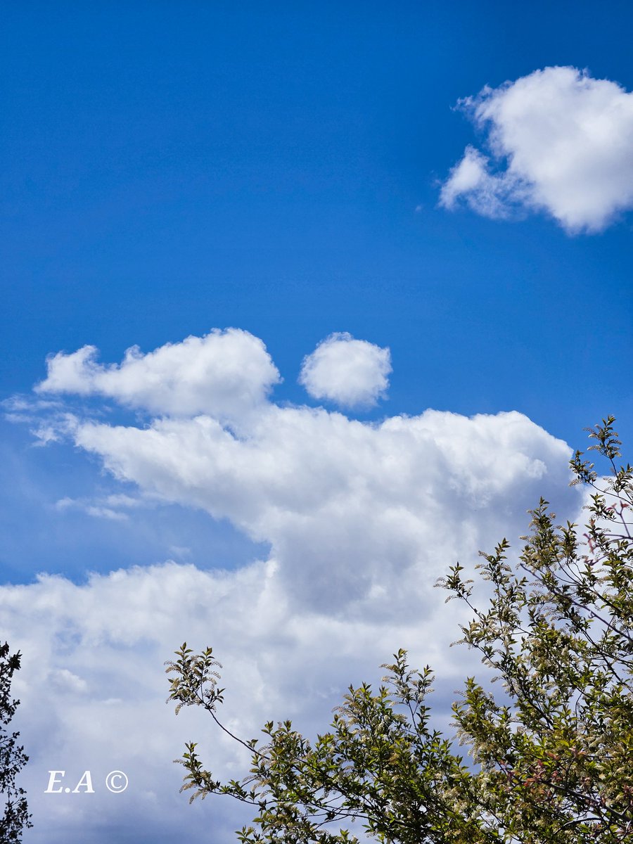 Montross85_WX's tweet image. Just some funny looking clouds on this nice beautiful sunny day 🌤️

Galaxy S26 Ultra | LR Mobile Presets 
#mobilephotography #clouds #galaxys26ultra