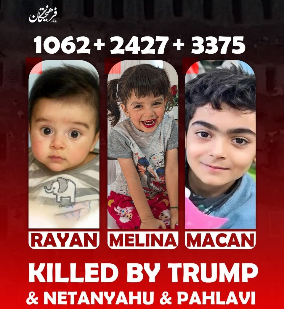 Mojtaba Pourmahmoud 🎒 tweet media