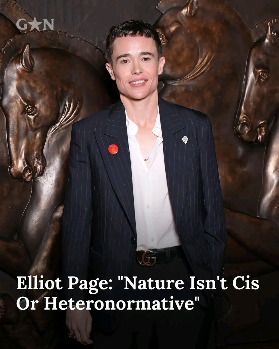 Gay Not Queer tweet media