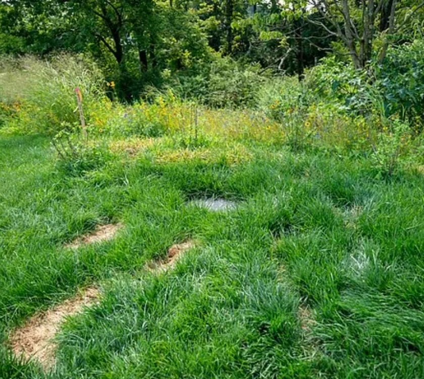 TheRealThelmaJohnson tweet media