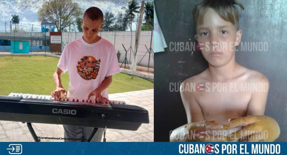 Cubanos por el Mundo tweet media