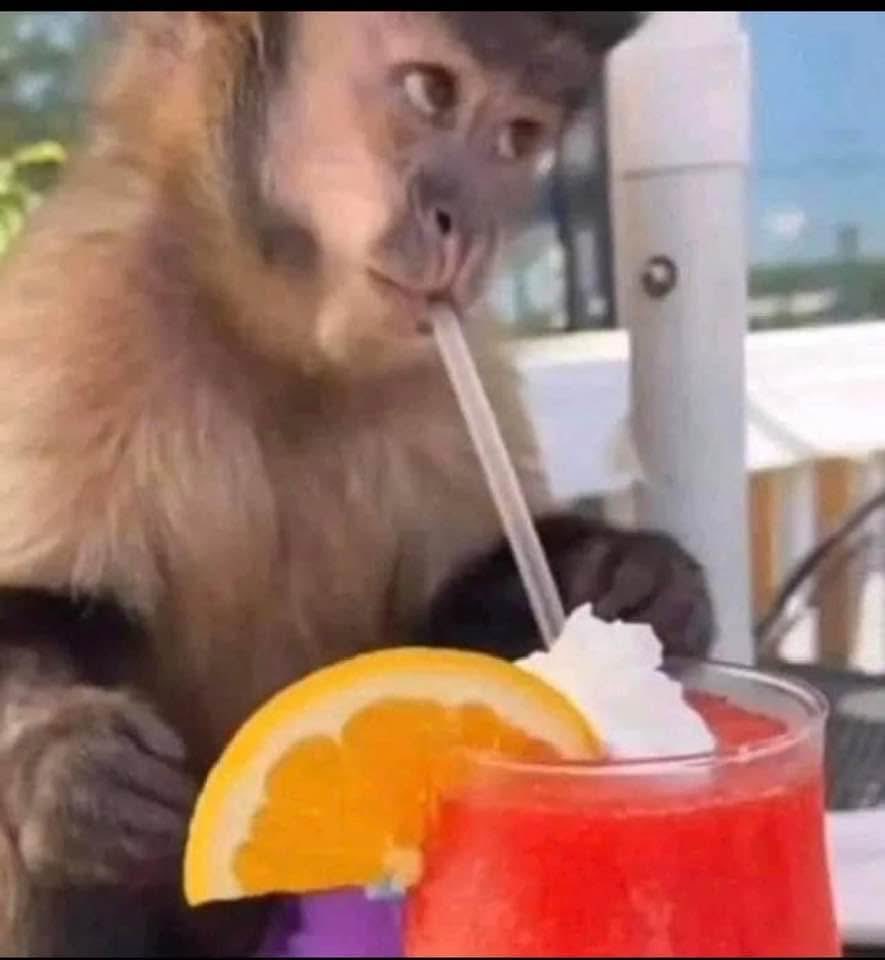 Car of the Day tweet media