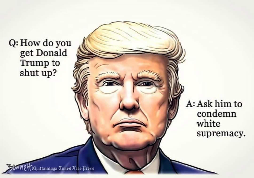 Chris Maley tweet media