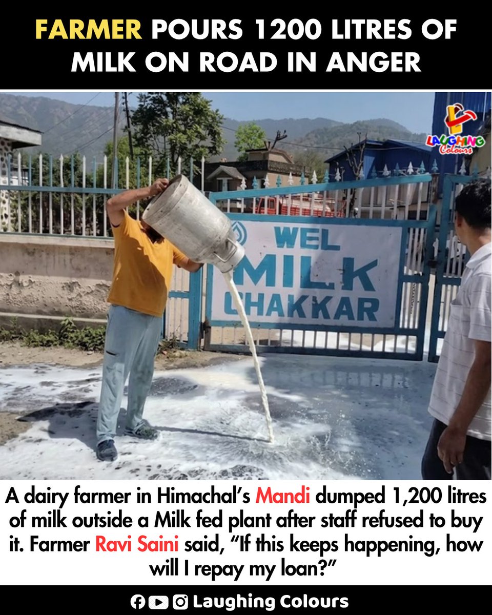 LaughingColours's tweet image. Farmer dumps milk in protest 😔

#Himachal #Farmers #Protest #RuralIssues