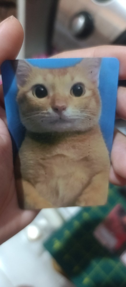 Vivi VAI VER O BTS tweet media