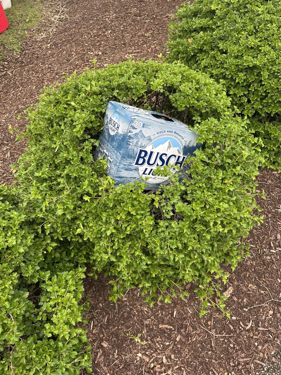 Andy Busch tweet media
