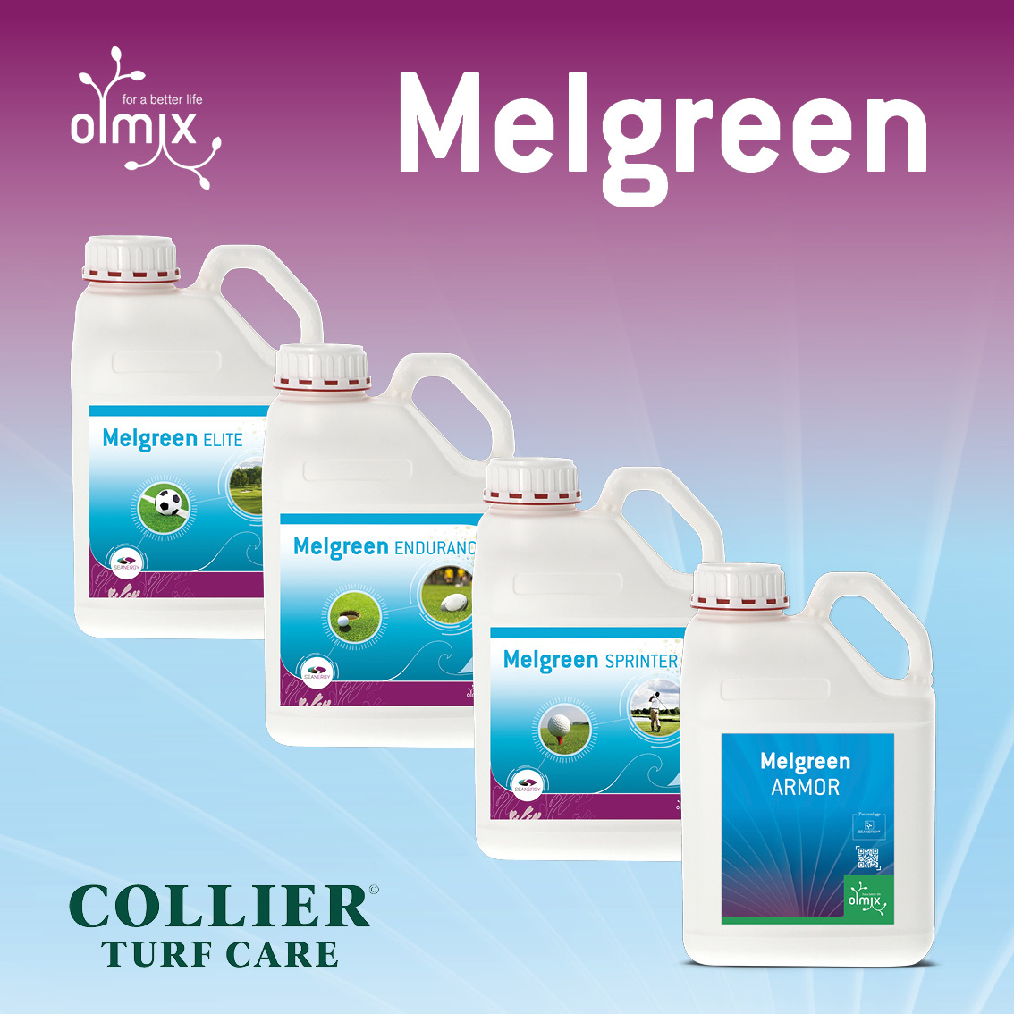 CollierTurfCare's tweet photo. Dry spells like we see now put turf under stress, limiting nutrient uptake, slowing growth &amp; weakening resilience
Foliar red seaweed applications like the Melgreen range boost plant health, recovery &amp; performance in tough conditions
https://t.co/NrhkMeECkG
@olmixgroup @GolfGeek6 https://t.co/SIRU9xuTL3