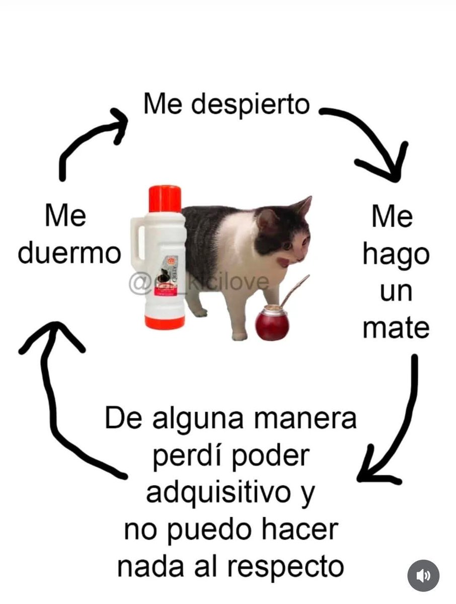 Vanina Rosas tweet media