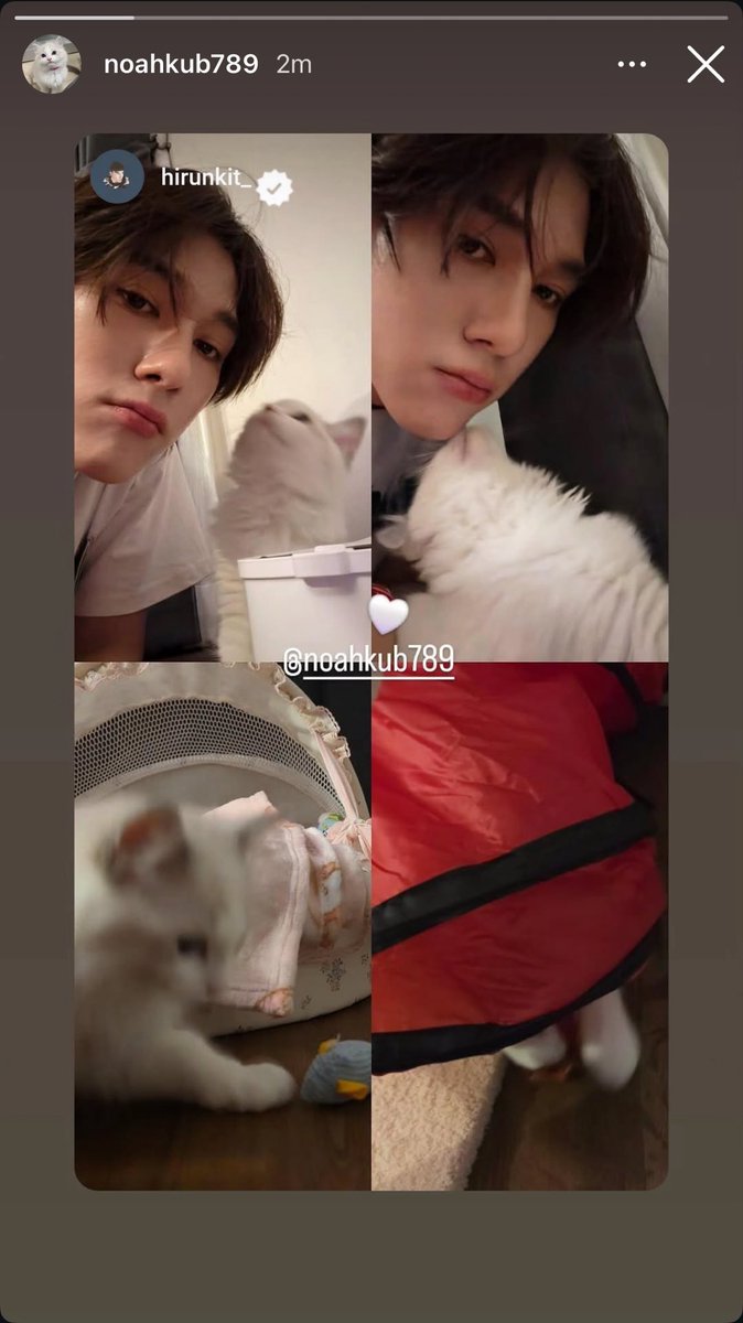 พีทคุง🐒 tweet media