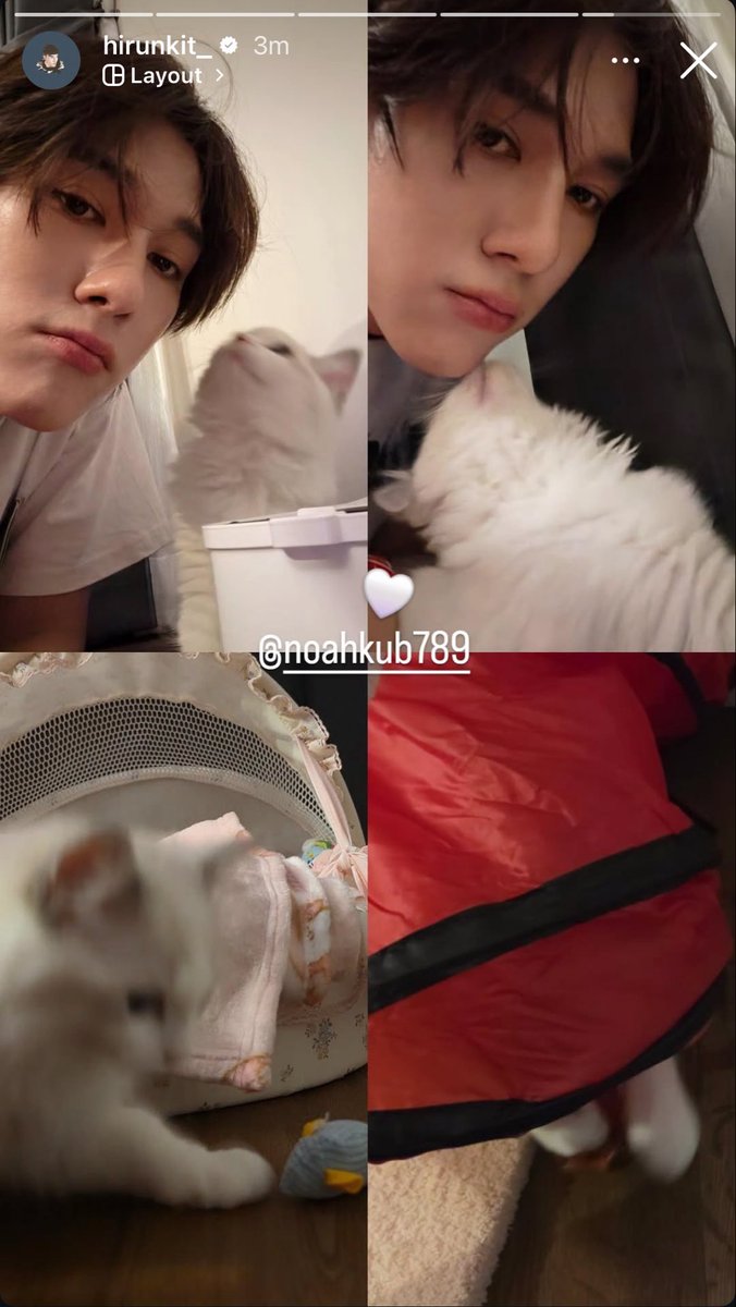 พีทคุง🐒 tweet media