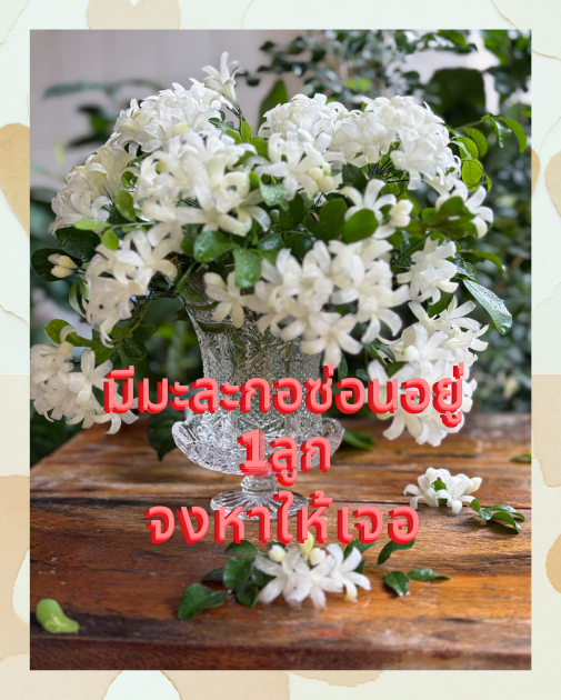 Supersap🇹🇭^_^ 🇹🇭^0^🇹🇭🇹🇭🇹🇭 tweet media