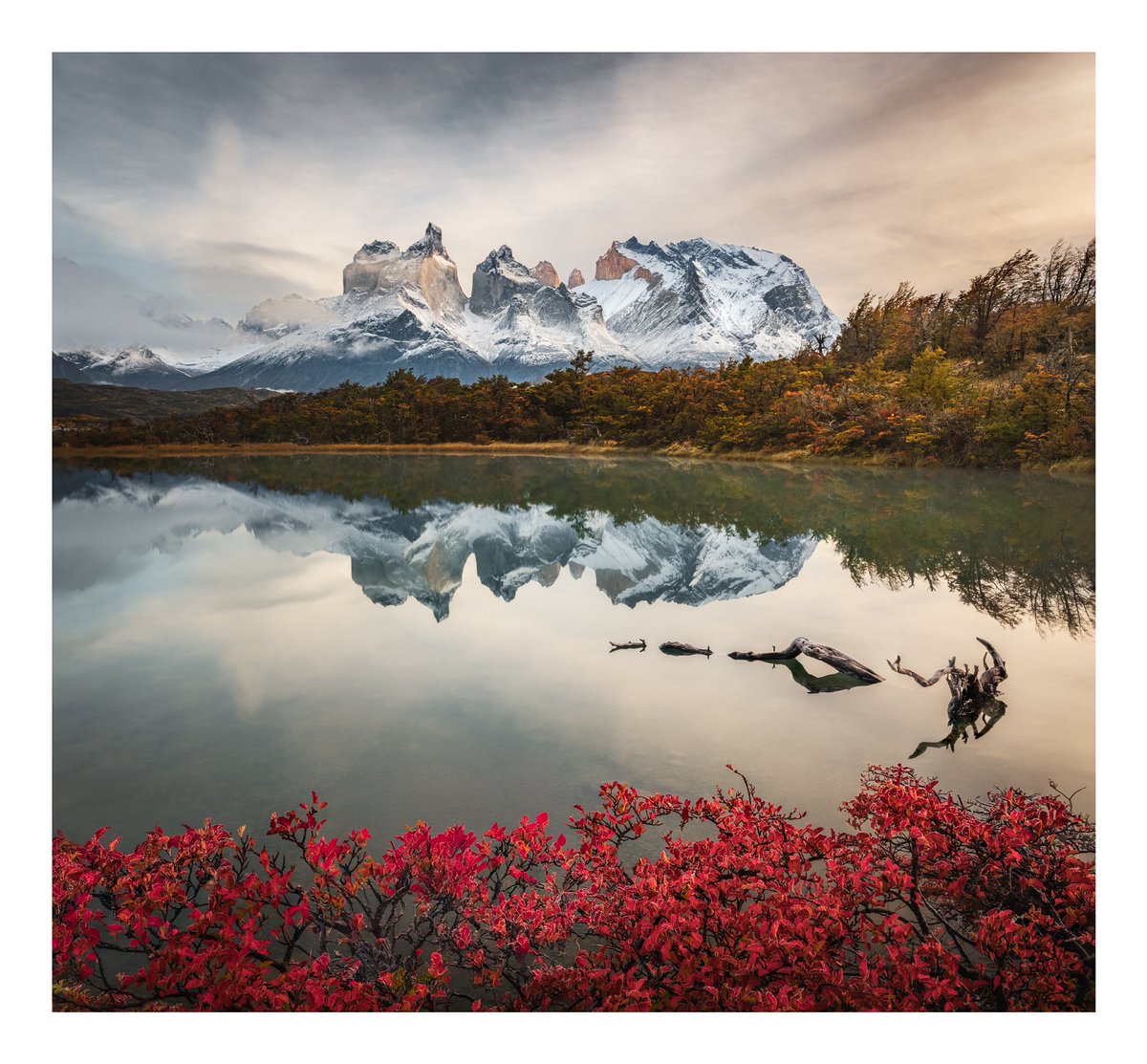 Mark Denney tweet media