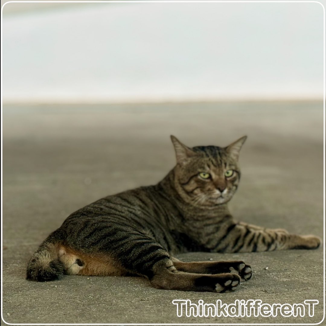 TThinkdifferen's tweet photo. https://t.co/kL5mjsEr2x