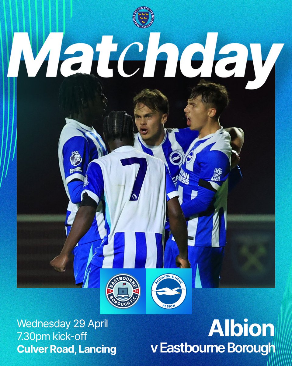 Brighton & Hove Albion Academy tweet media