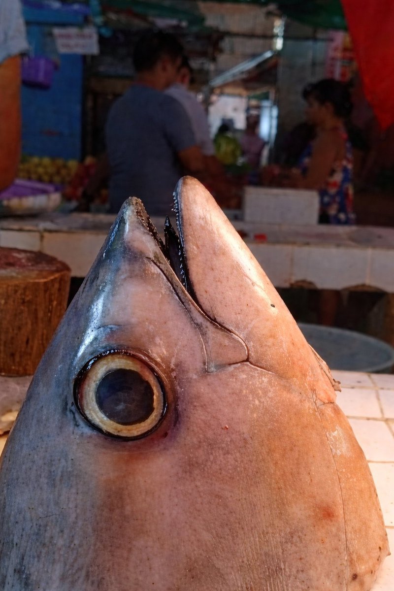 ¹²ᵇ Ale (H) tweet media