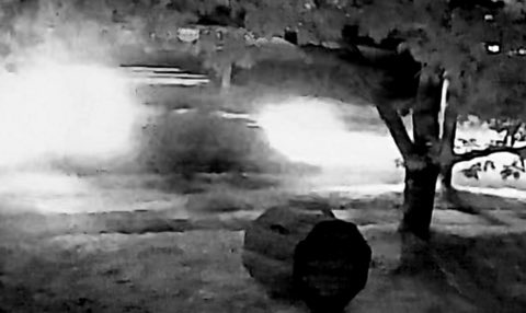 RCMPNB's tweet photo. Update: RCMP seeking public’s help following 2024 hit and run involving pedestrian #StStephen https://t.co/Vdxs5f0fsR https://t.co/ovrAE46TSH