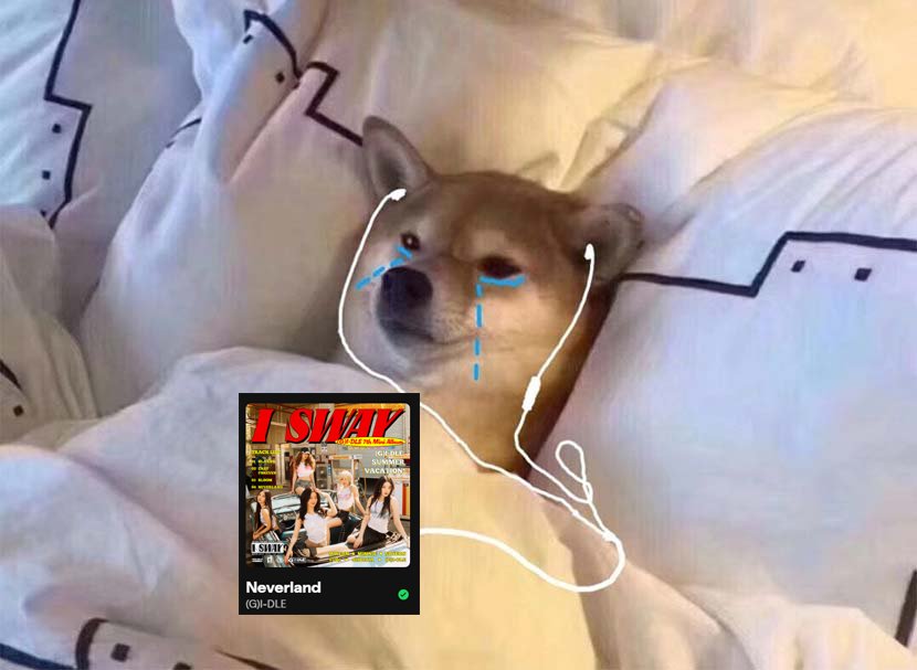 𝐖𝚒𝚗𝚍𝚢𝐖𝚘𝚗𝚔𝚊* ¦ ʷᵃⁱᵗⁱⁿᵍᶠᵒʳⁱᵈˡᵉ tweet media