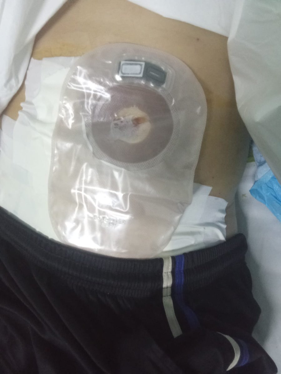 huda ahmed Gaza tweet media