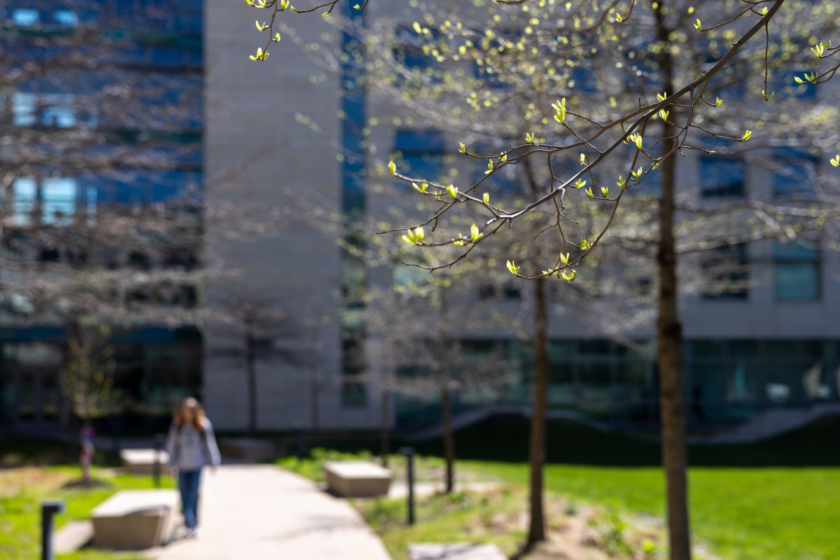 Carver College of Medicine tweet media
