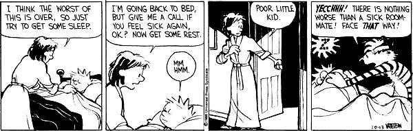 Calvin and Hobbes Daily tweet media