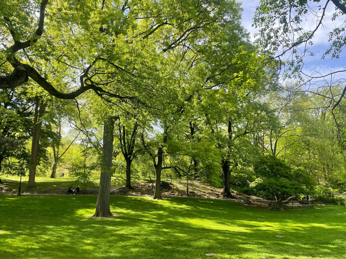 Loseght's tweet photo. Love and Nature: Stealing a Half-Day of Leisure #Nature'sHealingPower https://t.co/XmegNi0VpM