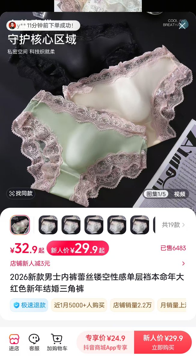 圆头小海豚 tweet media