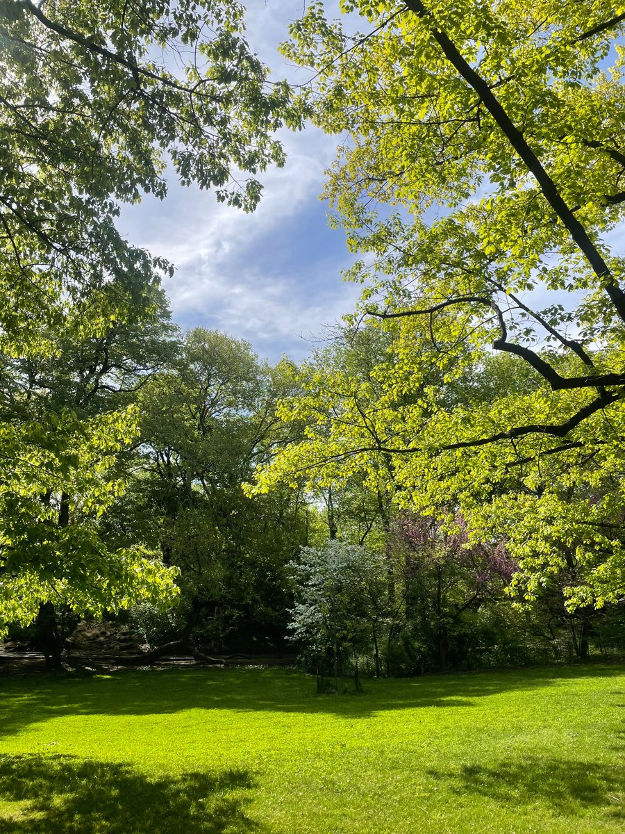 Loseght's tweet photo. Love and Nature: Stealing a Half-Day of Leisure #Nature'sHealingPower https://t.co/XmegNi0VpM