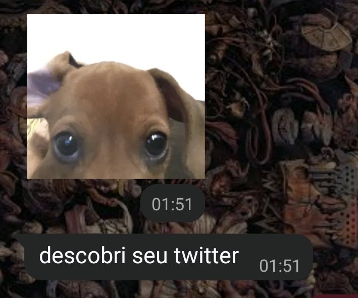 alucard carioca🦇 tweet media