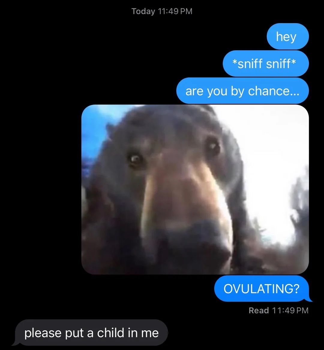 weird text messages tweet media