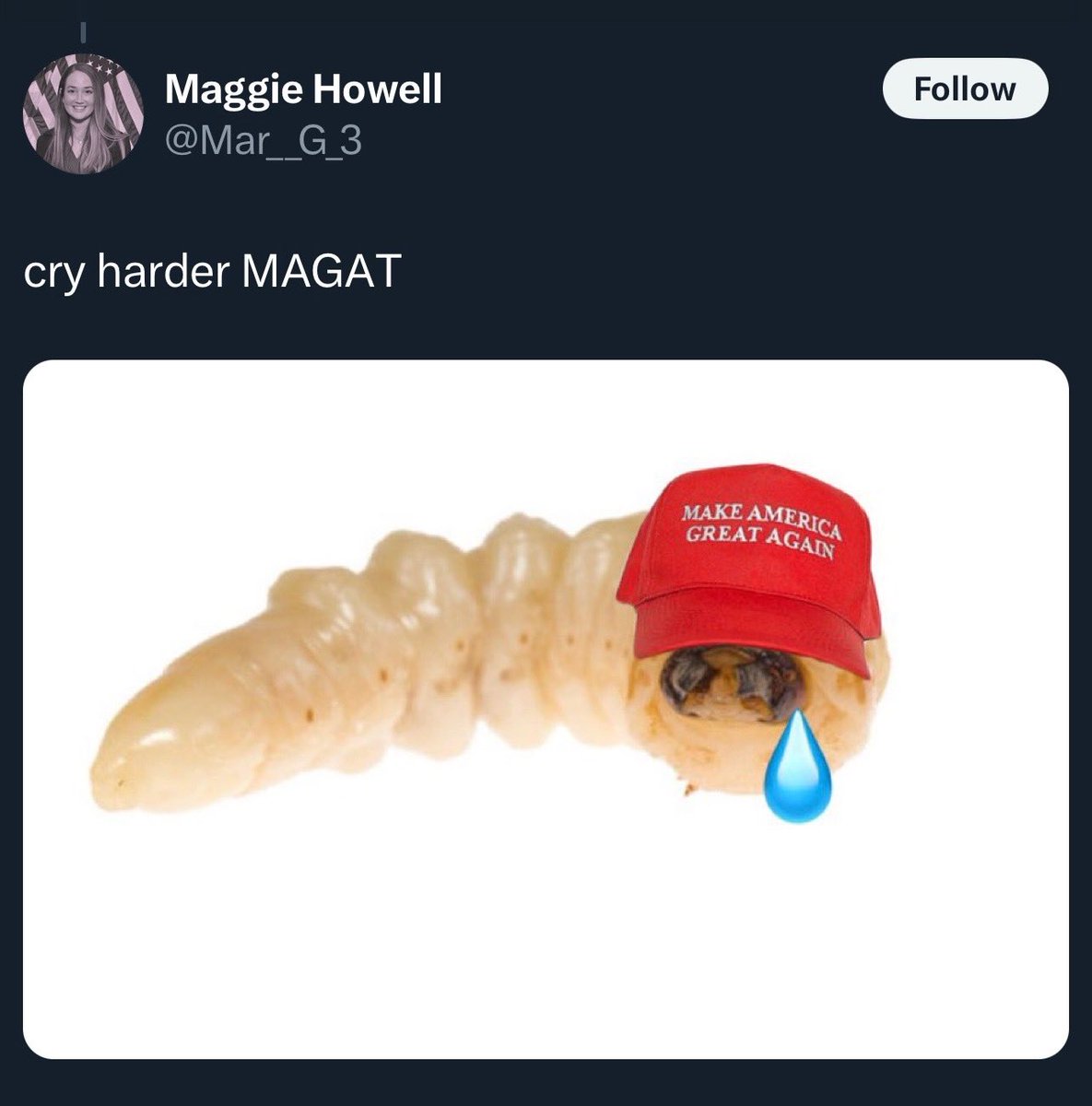 LauraLoomer's tweet image. Sometimes I wonder why people who hate President Trump get dressed up to attend events at the Trump White House… @Mar__G_3 

I thought you said MAGA supporters are Maggots? Why did you delete this?