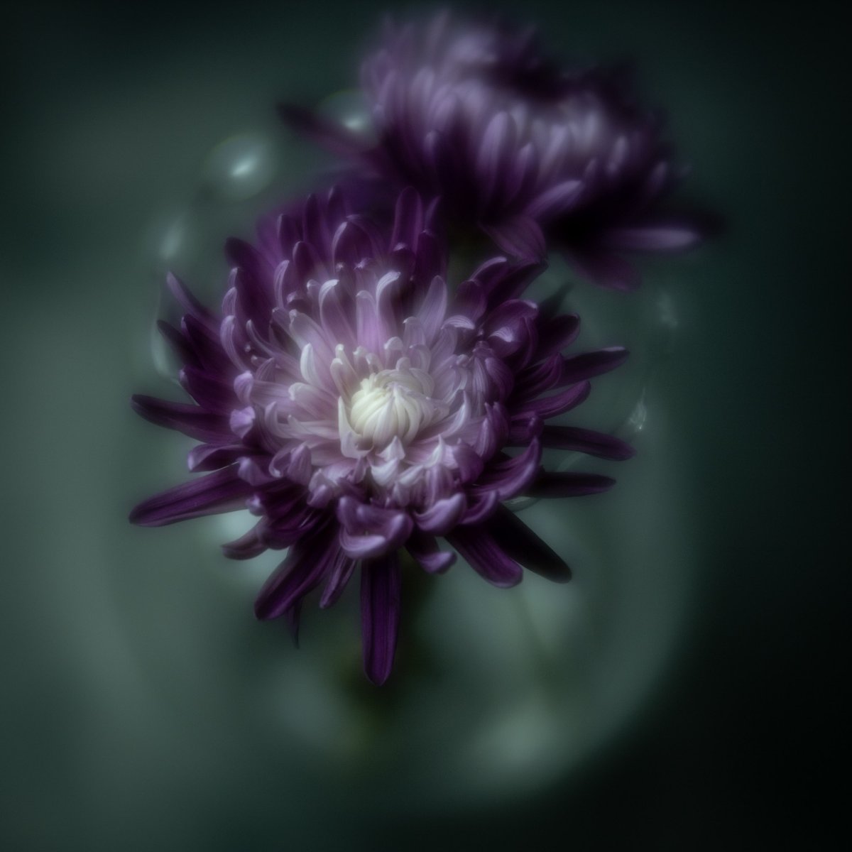 Jason DeBloois Photography tweet media