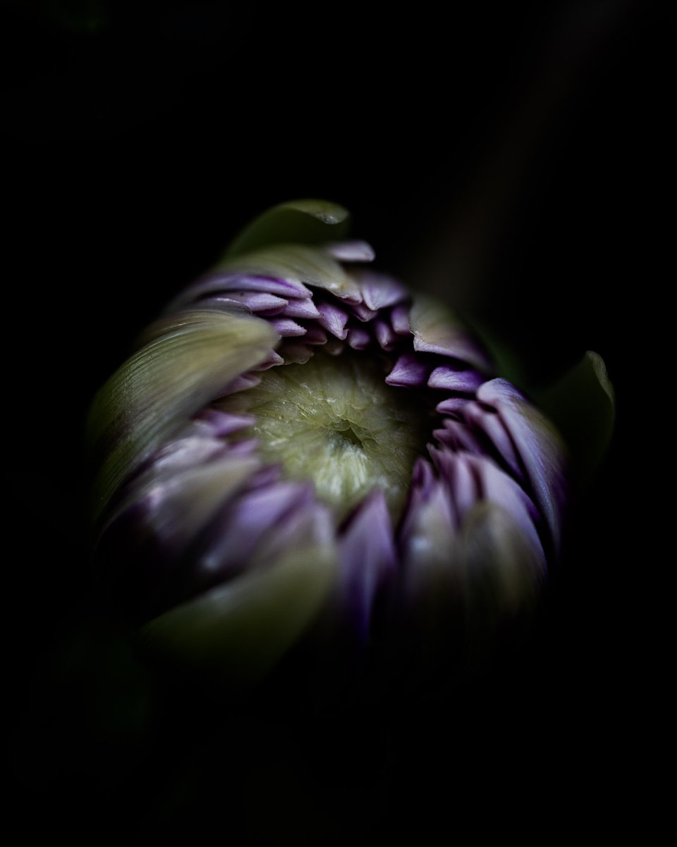 Jason DeBloois Photography tweet media