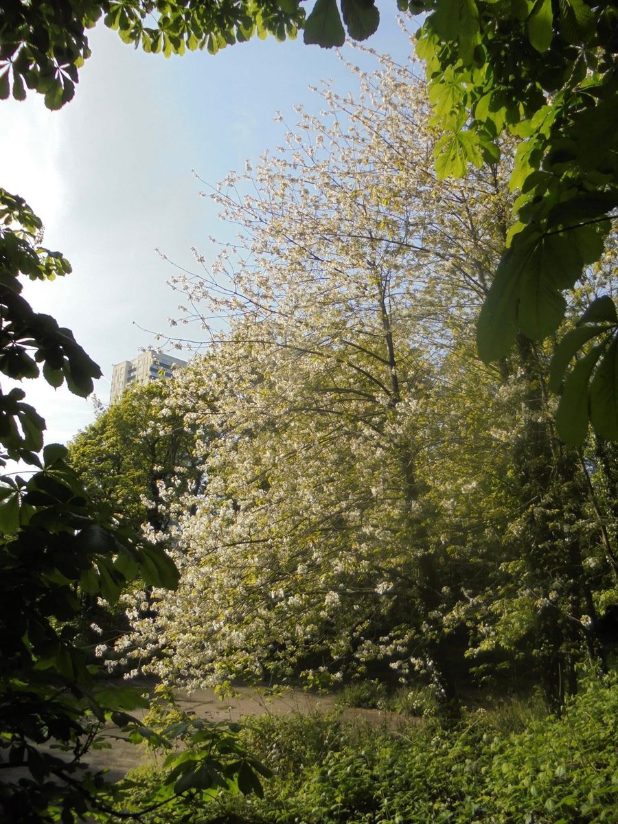 rebeka ˚🤍⟡˖ ࣪ tweet media