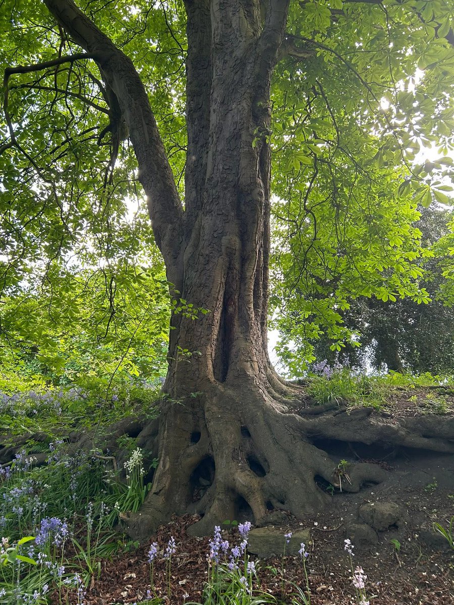 rebeka ˚🤍⟡˖ ࣪ tweet media