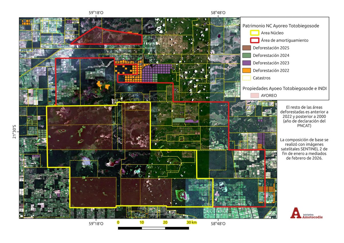 SantiCarneri's tweet photo. obviando las negligencias del Ministerio del Medio Ambiente y el Instituto Forestal de Paraguay, que ha otorgado licencias en tierras de los ayoreo, como han comprobado organizaciones de su propio país como Iniciativa Amotocodie. https://t.co/4o9nB1JnYT