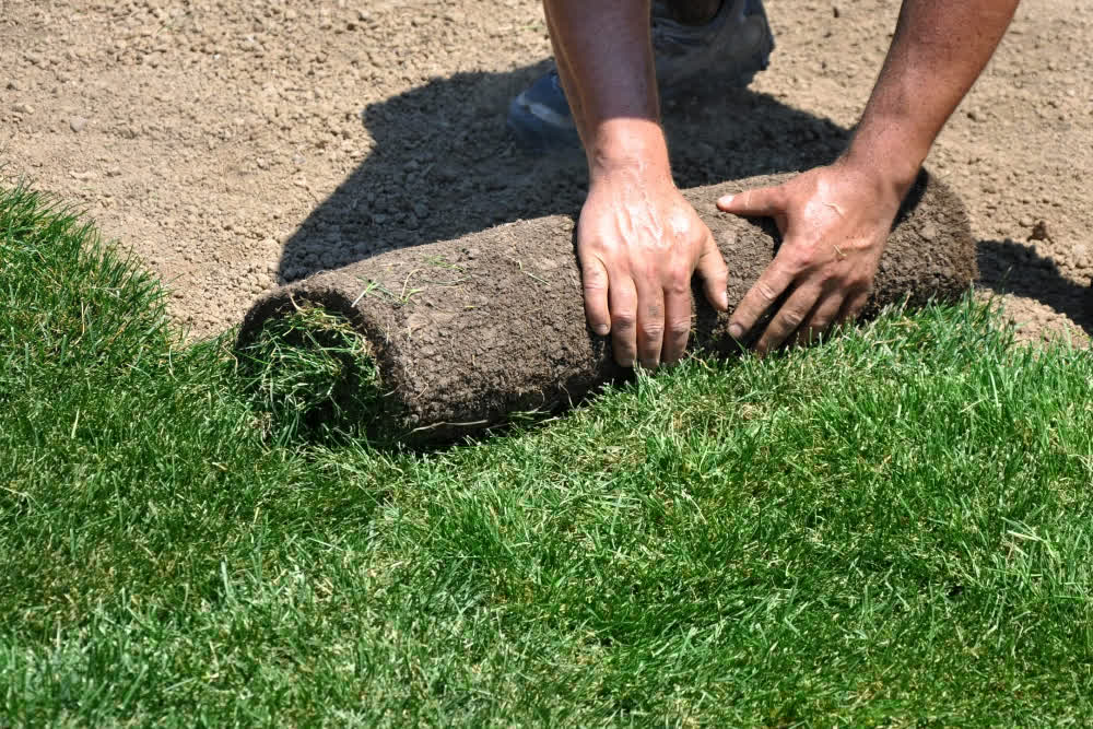 LandscapeDavis's tweet image. The Remarkable Benefits of Using Sod in Your Yard…
VIEW TIPS... davislandscapeky.com/the-remarkable…

#sod #lawn #landscaping #hardscapes #walkways #pavers #concrete #drainage #homeimprovement #homeandgarden #patios #cincinnati #nky #northernkentucky