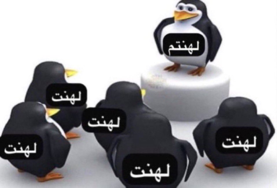 سلمان tweet media