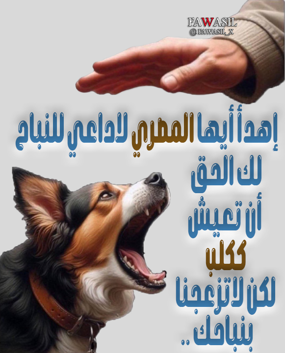 ♿️🇸🇦 ღ нαиɪ - αℓвυĸнαяɪ ღ tweet media