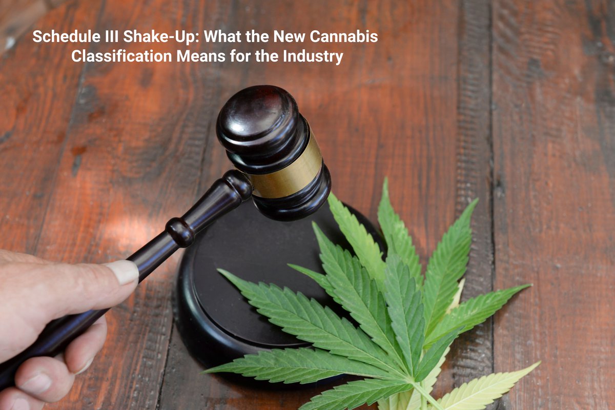 MaxQTech's tweet photo. A Historic Shift: Trump Administration Moves State-Licensed #MedicalCannabis to #ScheduleIII - https://t.co/g4wYbwqxLv https://t.co/GpG7eCSt07