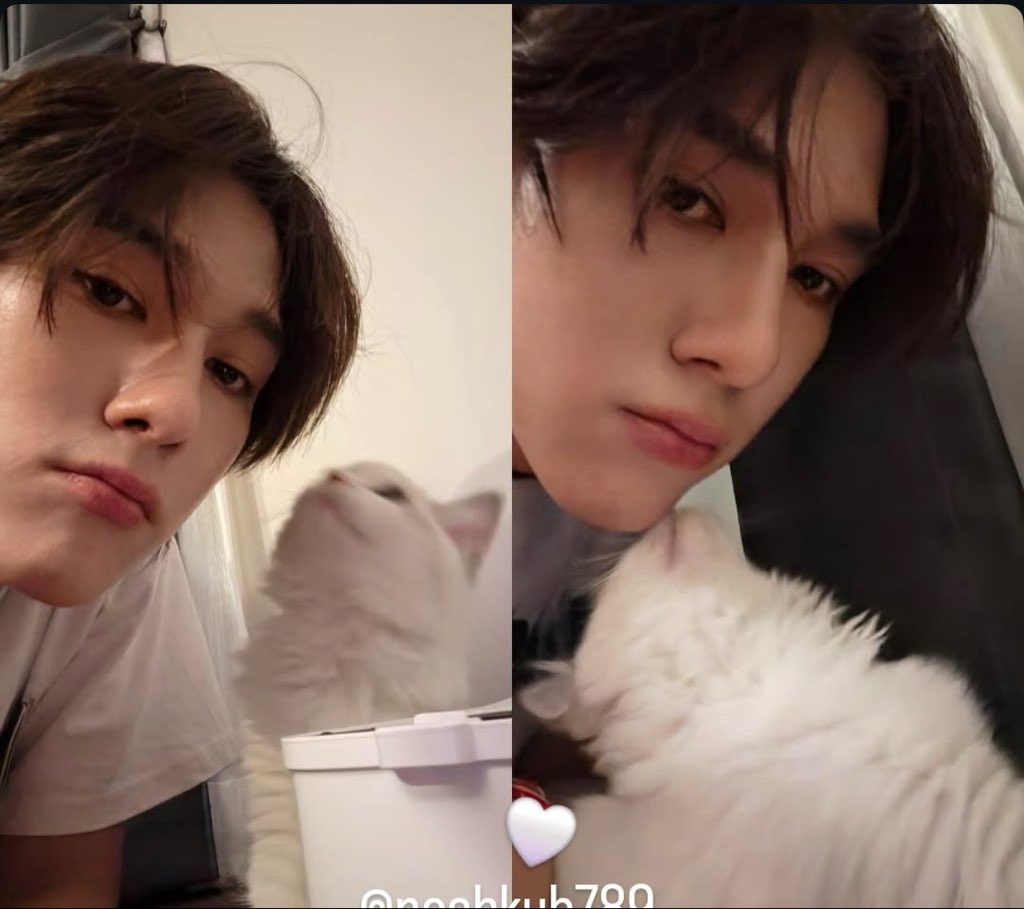 𝙢𝙞𝙢𝙚𝙬 tweet media