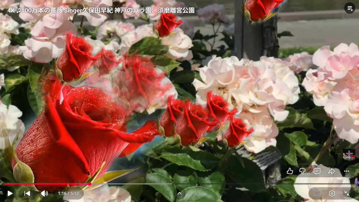 eijigoody7's tweet photo. 狐疑の解消が御座います。ドラマの画面の赤枠の処は雨音さんの言葉が止まっていて述べられて御座いません。「先着一名様に薔薇の花百本プレゼント」と書かれて御座います。😊☺️😅😂😭🎬🎨📚📖🌺🌼🌸🍇🫐🍒🧬🔬🔭🌌🌌🌌 https://t.co/MW4dfqbyEG