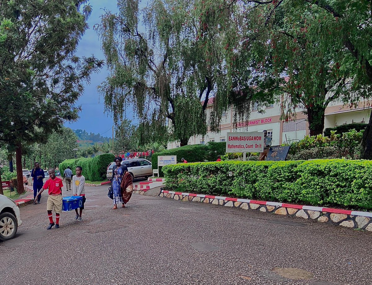 Budo Junior School tweet media