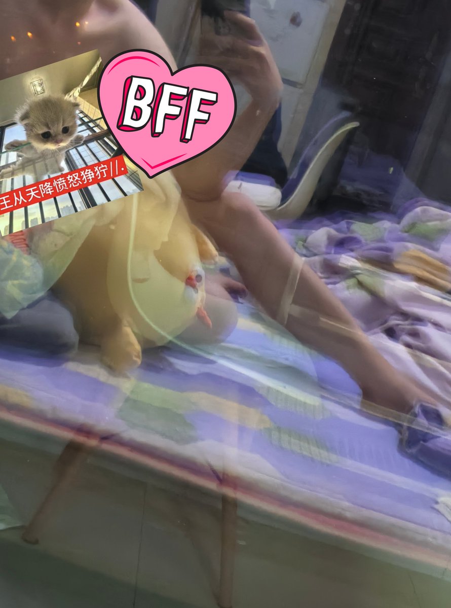 是芋泥波波口牙 tweet media