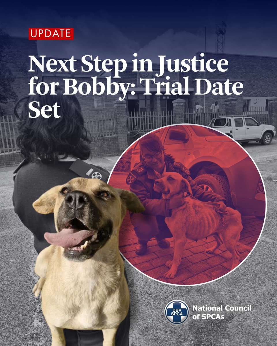 NSPCA_SA's tweet image. A trial date has been set in an ongoing animal cruelty case before the Boksburg Magistrates' Court. Our inspector was there yesterday.

We will be back.

Full update: nspca.co.za/court-update-t…  ⚖️

#NSPCA #JusticeForAnimals #AnimalWelfare